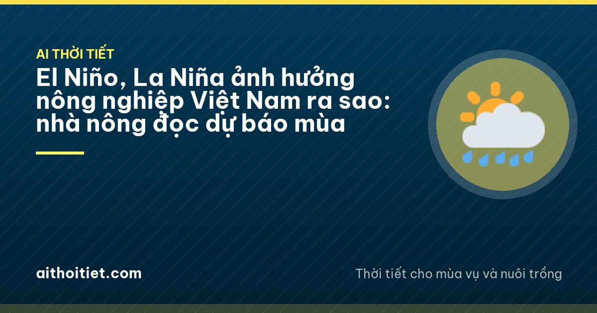 Aerial view of a cracked dry reservoir edge beside green rice terraces in central Vietnam, a lone farmer seen from far above walking along a narrow earthen path, harsh midday light